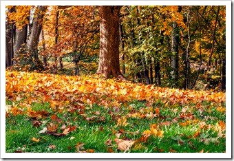 Sandy Springs GA Back Pain